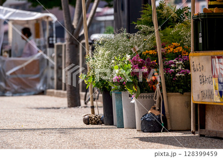 250709宮川朝市g056 250709宮川朝市g056 128399459