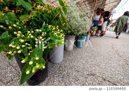 250709宮川朝市s145 128399488