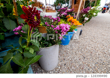 250709宮川朝市s152 128399490