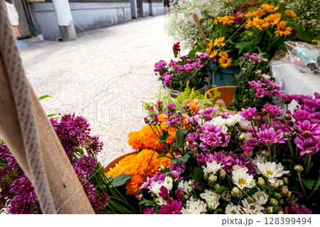 250709宮川朝市s160 250709宮川朝市s160 128399494