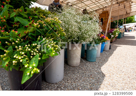 250709宮川朝市s177 128399500