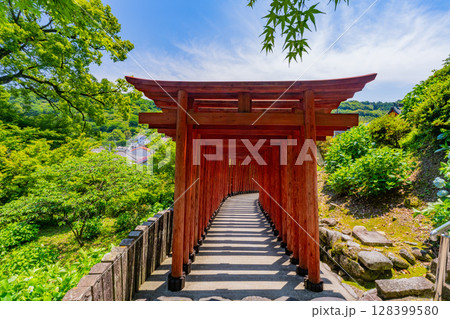 （佐賀県）祐徳稲荷神社　奥の院に通じる参道の赤鳥居 128399580