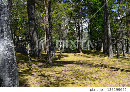 山中湖文学の森公園の景色 山中湖文学の森公園の景色 128399625