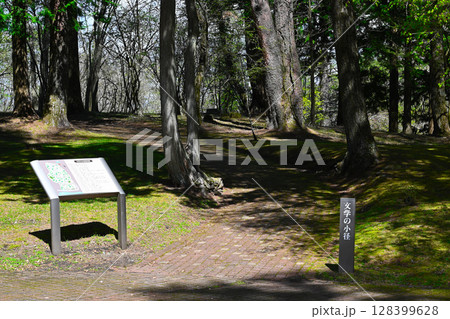 山中湖文学の森公園の景色 128399628