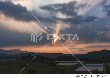 250709上野平z001 128399743