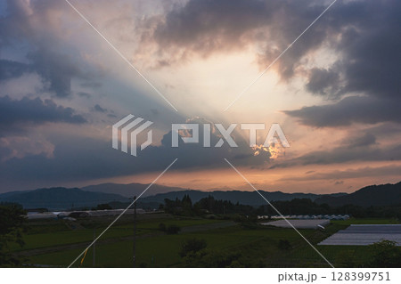 250709上野平z015 250709上野平z015 128399751