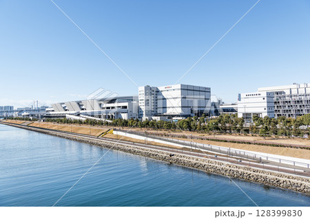 東京都江東区豊洲　様々な水産物を取り扱う快晴の豊洲市場（水産卸売場棟） 128399830
