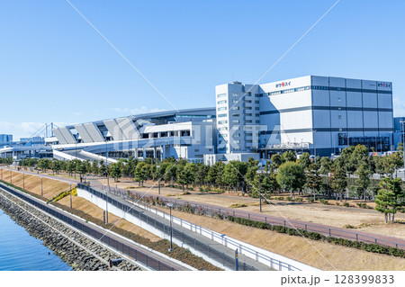 東京都江東区豊洲　様々な水産物を取り扱う快晴の豊洲市場（水産卸売場棟） 128399833