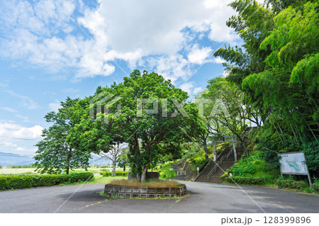 夏の光芒に映える幸福神社(岡留稲荷神社)と岡留公園広場風景(球磨郡あさぎり町) 夏の光芒に映える幸福神社(岡留稲荷神社)と岡留公園広場風景(球磨郡あさぎり町) 128399896