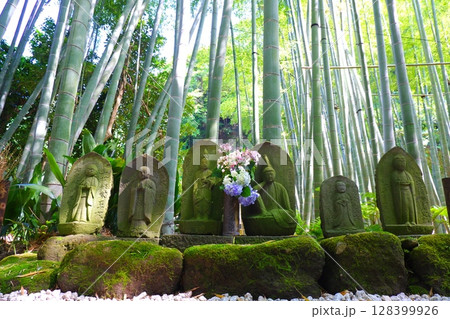 神奈川県 鎌倉市 報国寺、竹の庭 神奈川県 鎌倉市 報国寺、竹の庭 128399926