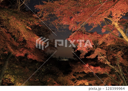 秋の夕暮れの筑波山のケーブルカー宮脇駅周辺に広がる、ライトアップされた真っ赤に紅葉した木々の景色 秋の夕暮れの筑波山のケーブルカー宮脇駅周辺に広がる、ライトアップされた真っ赤に紅葉した木々の景色 128399964