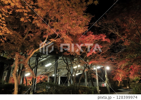秋の筑波山のケーブルカー宮脇駅と、ライトアップされた真っ赤に紅葉したモミジの夜景 128399974