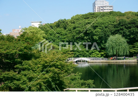 杭州の西湖の堤を模した堤防 西湖堤 徳川園 杭州の西湖の堤を模した堤防 西湖堤 徳川園 128400435