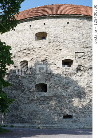 太っちょマルガレータ 128400530