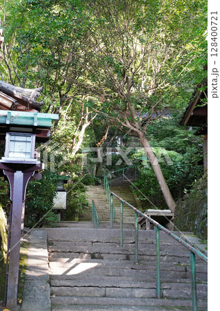 長楽寺の参道の風景 長楽寺の参道の風景 128400721