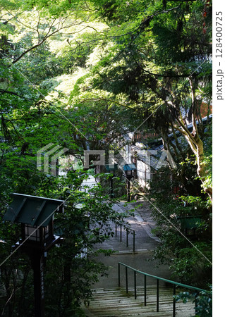 長楽寺境内の風景 長楽寺境内の風景 128400725