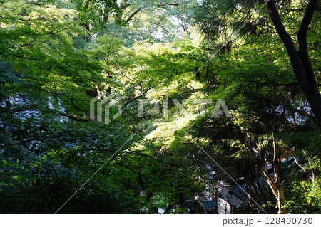 長楽寺の境内の風景 128400730