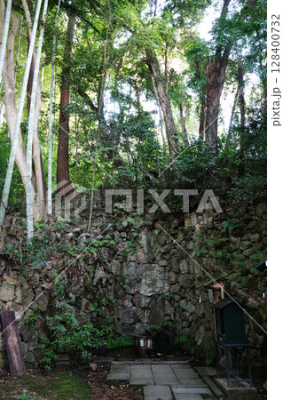 長楽寺境内の風景 長楽寺境内の風景 128400732