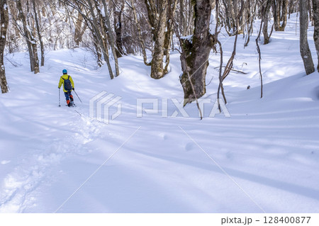 森の新雪をスノーシューで楽しむイメージ　大山木谷沢渓流 128400877