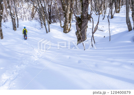 森の新雪をスノーシューで楽しむイメージ 大山木谷沢渓流 森の新雪をスノーシューで楽しむイメージ 大山木谷沢渓流 128400879