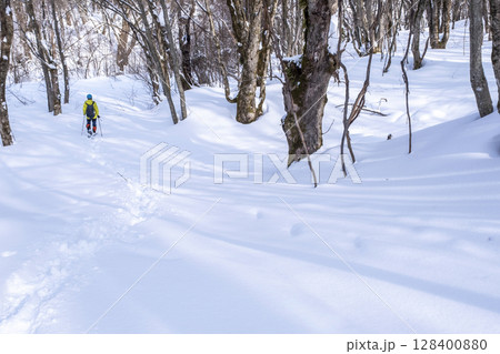 森の新雪をスノーシューで楽しむイメージ 大山木谷沢渓流 森の新雪をスノーシューで楽しむイメージ 大山木谷沢渓流 128400880