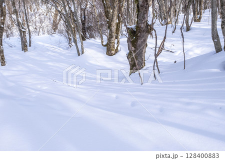 森の新雪をスノーシューで楽しむイメージ　大山木谷沢渓流 128400883