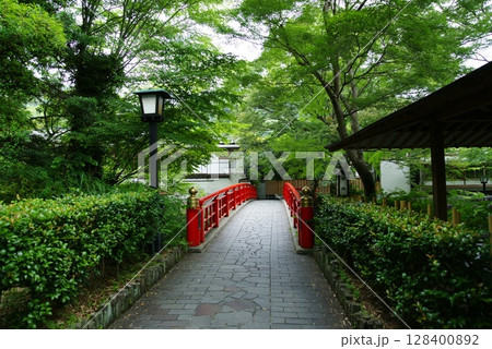 伊豆修善寺　桂橋(かつらばし) 128400892