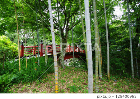 伊豆修善寺 竹林の小径と楓橋(かえでばし) 伊豆修善寺 竹林の小径と楓橋(かえでばし) 128400965