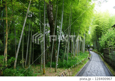 伊豆修善寺　竹林の小径 128400967