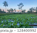 green field with palms 128400992