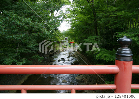 伊豆修善寺 楓橋(かえでばし)からの桂川 伊豆修善寺 楓橋(かえでばし)からの桂川 128401006