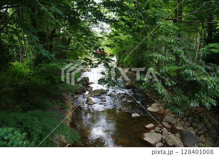 伊豆修善寺　楓橋(かえでばし)からの桂川 128401008