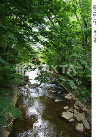 伊豆修善寺　楓橋(かえでばし)からの桂川 128401009