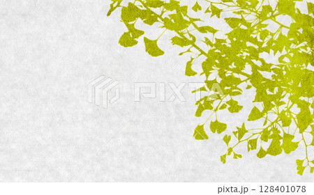 イチョウのシルエットアート、黄緑に色づく秋の背景 128401078