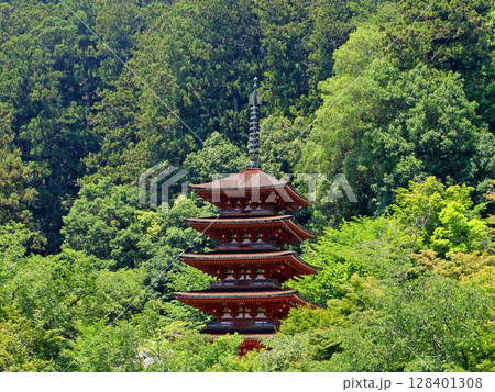 長谷寺の五重塔 長谷寺の五重塔 128401308