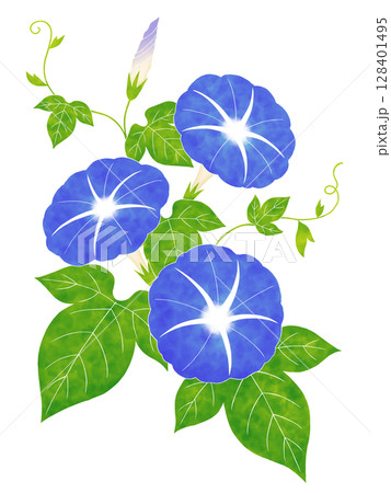 水彩風の朝顔 128401495