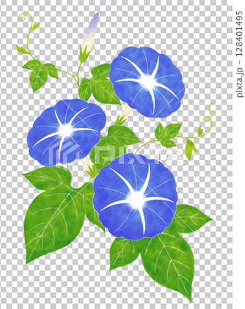 水彩風の朝顔 128401495