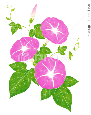 水彩風の朝顔 水彩風の朝顔 128401496