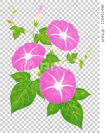 水彩風の朝顔 水彩風の朝顔 128401496