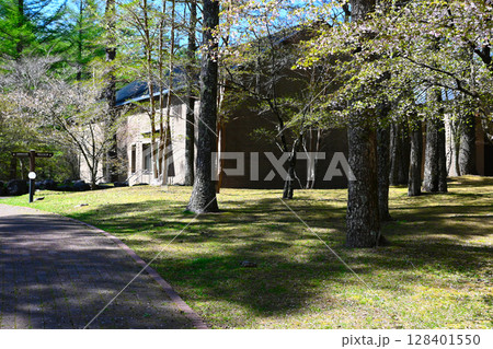 山中湖文学の森公園の景色 山中湖文学の森公園の景色 128401550