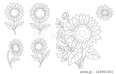 ひまわりの線画イラストセット | ぬりえ・装飾用 128401561