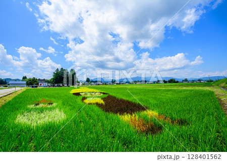 田んぼアート　秋田県仙北市 128401562