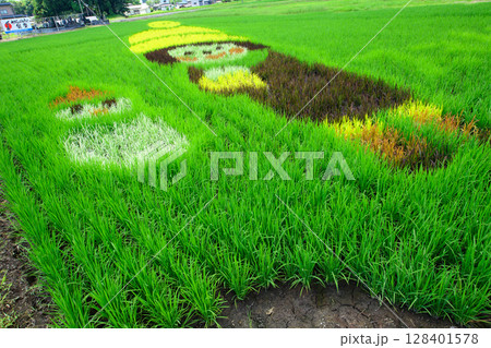 田んぼアート　秋田県仙北市 128401578
