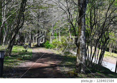 山中湖 文学の森公園の景色 山中湖 文学の森公園の景色 128401584