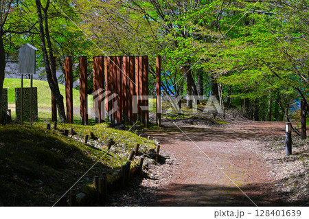 山中湖　文学の森公園の景色 128401639