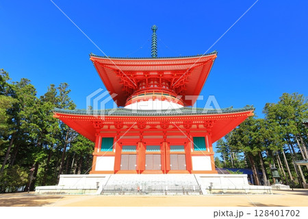 【和歌山県】快晴の高野山の壇上伽藍の根本大塔 128401702