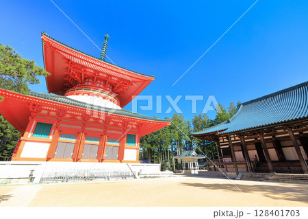 【和歌山県】快晴の高野山の壇上伽藍の根本大塔 128401703