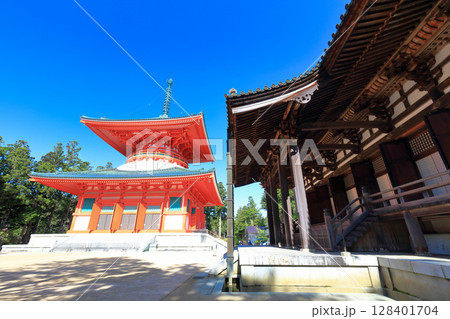 【和歌山県】快晴の高野山の壇上伽藍の根本大塔 【和歌山県】快晴の高野山の壇上伽藍の根本大塔 128401704