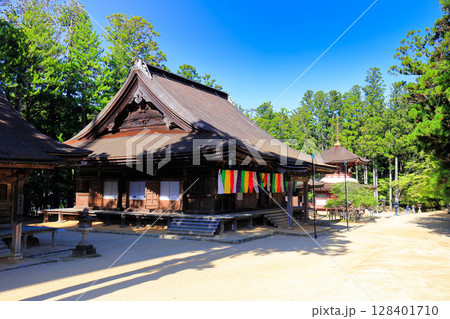 【和歌山県】快晴の高野山の壇上伽藍の大会堂と東塔 128401710