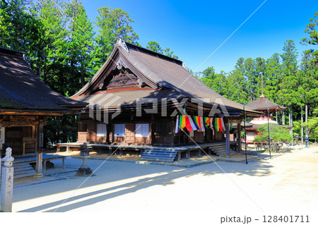 【和歌山県】快晴の高野山の壇上伽藍の大会堂と東塔 128401711